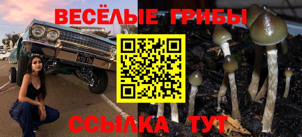 Галлюциногенные грибы ЛСД Красноперекопск